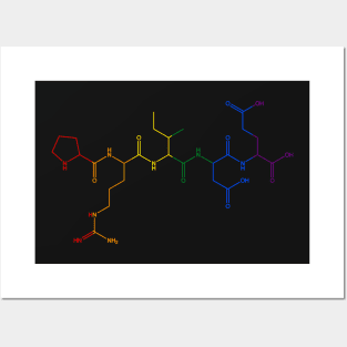 PRIDE Amino Acid Chain Posters and Art